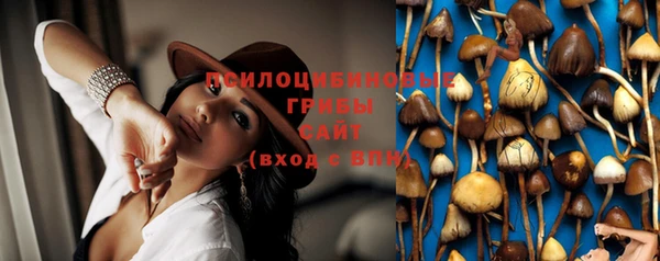 MDMA Гусь-Хрустальный