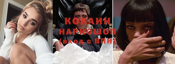 гидра Горно-Алтайск