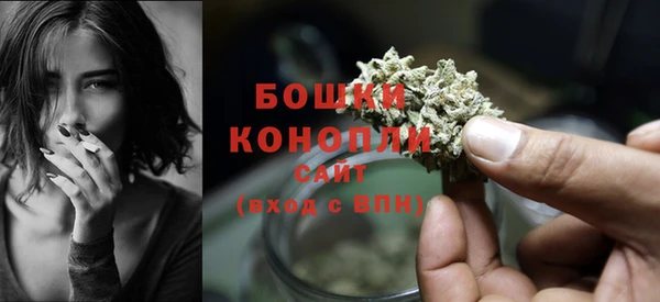 гидра Горно-Алтайск