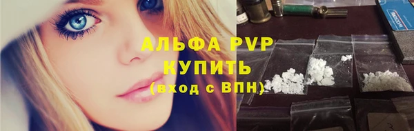 гидра Горно-Алтайск