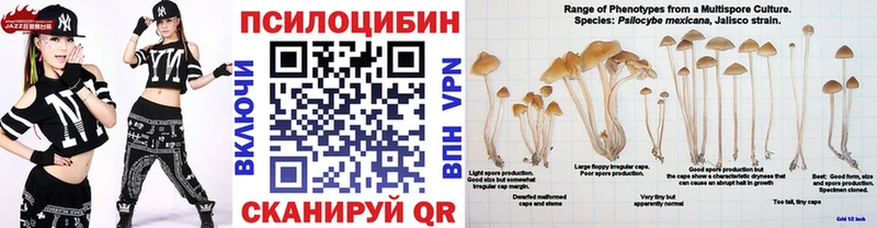 Галлюциногенные грибы Psilocybe Истра