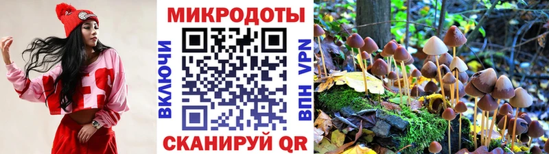 Купить где  Истра  Галлюциногенные грибы мухоморы 